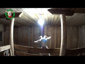 Сколько веников нужно козам на зиму