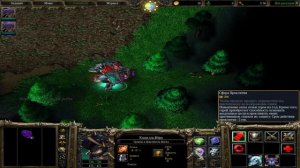 О чём была кампания РАСХИТИТЕЛИ ГРОБНИЦ | Warcraft 3