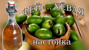 Настойка из Фейхоа