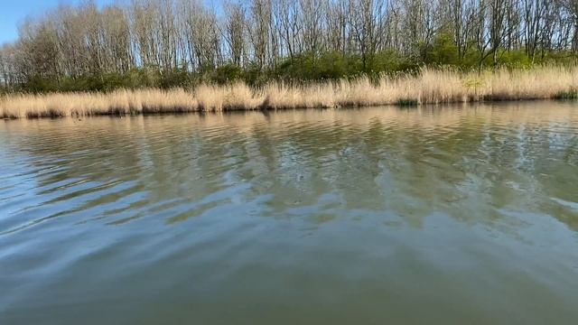 Dachshund puppy discovers the taste of fruit. смотреть онлайн