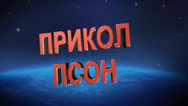 ПриколПсон #66. Дикая кисочка смотреть онлайн