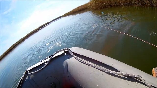 Заготовка карася на зиму. смотреть онлайн