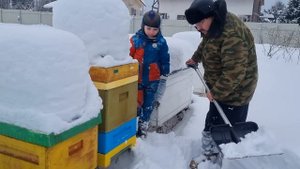 ? Защита пчёл от синиц при зимовке на улице. Очень простой способ для начинающих пчеловодов ?