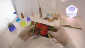 Томат Король Ранних. Семена Алтая