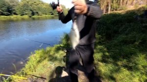 Ловля мирной рыбы на снасть 'убийца карася'