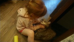 кто описал папе кровать?😂🤣