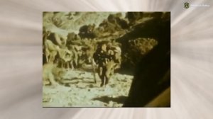 Гардез 1987 1988 56 ОДШбр