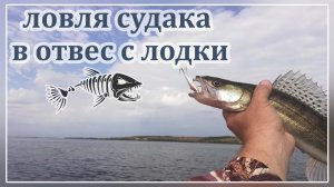 Ловля судака в отвес с лодки.Судак на балансир.Ловля судака.