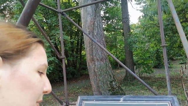 Я возле дерева в Москве в 2022 смотреть онлайн