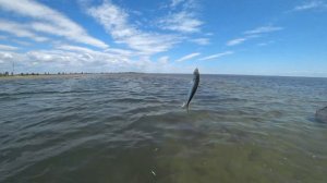 Рыбалка на Черном море/Ловля ставриды на силикон/ Лазурное Херсонская область/SEA FISHING