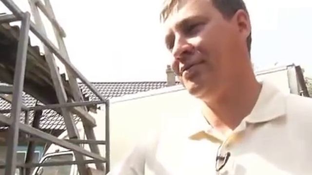 Разведение перепелов