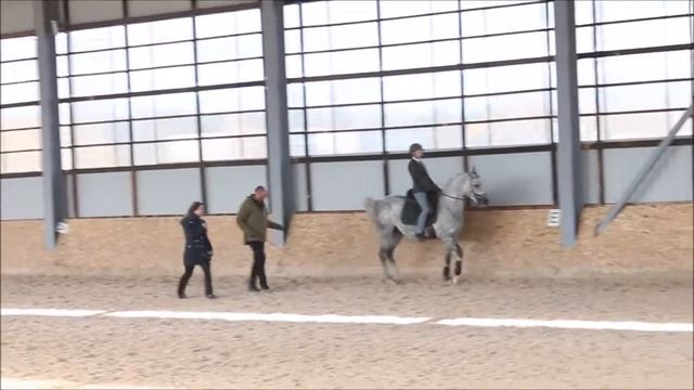 пиаффе, первые шаги смотреть онлайн