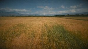 Активация УДОВОЛЬСТВИЯ в ЖИЗНИ | Медитация Ана Мавричева