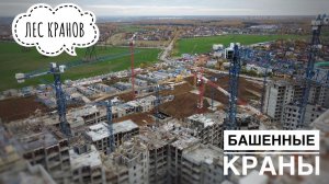 ЛЕС КРАНОВ. Башенные краны. Большая стройка. Many tower cranes
