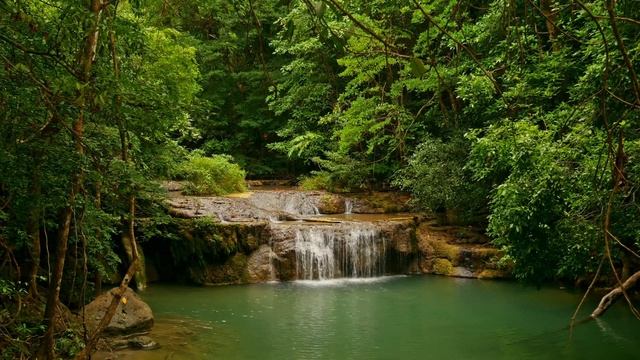 Восхитительное пение соловьев и успокаивающее журчание воды. смотреть онлайн