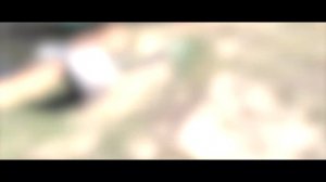 "Усадьба" в селе Страхово