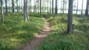 Карелия,озеро шонго. Душа отдыхает.