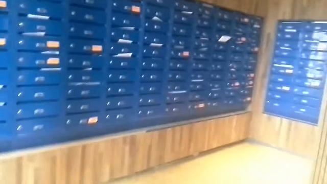 Велтон парк новая Сходня смотреть онлайн