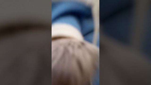 город Сергач выставка животных😉 смотреть онлайн