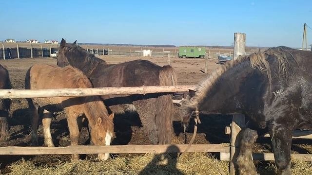 Советский Тяжеловоз в деле