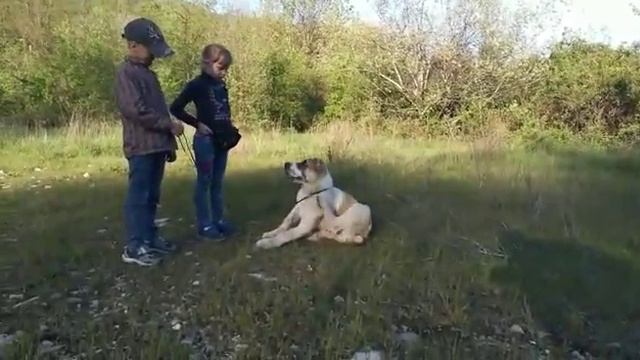 Гигант Улкен Улы Ан-Нассир. 3,5 месяца.