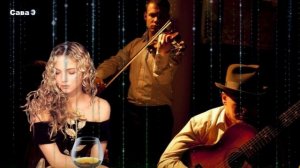 Чёрная роза.