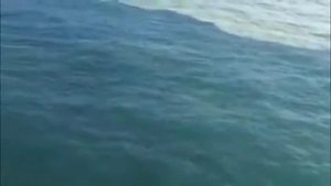 Разделение пресной воды и соленой