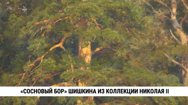 «Сосновый бор» Шишкина из коллекции Николая II в ДВХМ