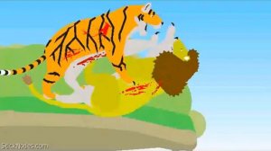 Бенгальский тигр против африканского льва!!!