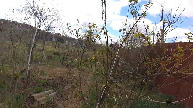 Купили дачу в Крыму. Мечта сбылась! Обзор участка