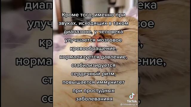 Мурлыкать полезно для здоровья