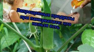 Запрещенные продукты при панкреатите: что нельзя есть