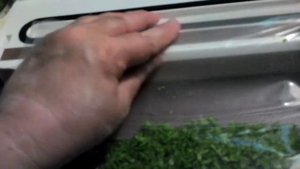 Супер заготовка стрелок чеснока на вакууматоре .
