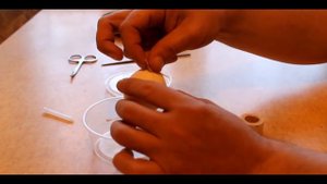 ЧТО ТАКОЕ ГОМУНКУЛ ИЛИ КАК СДЕЛАТЬ ГОМУНКУЛА