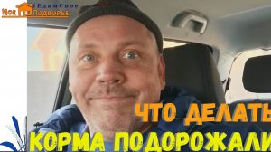 Поездка в город. Корма для птицы...Всё подорожало. "Мое Подворье"