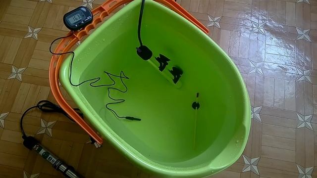 Water World #52 / Тестируем обогреватели и термометры для аквариума смотреть онлайн