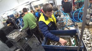 Как делают шаровые краны из латуни