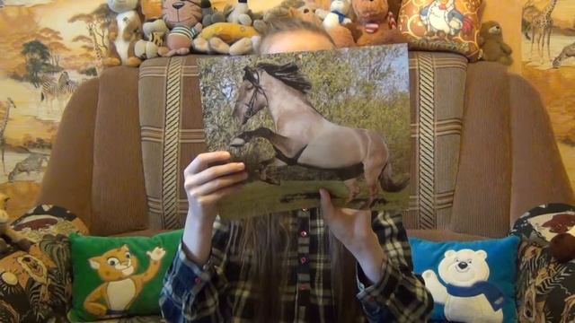 11 наиболее распространенных мастей лошадей смотреть онлайн