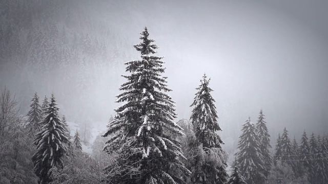 ?10 февраля–День домового, Ефремов день. Что нельзя делать?? Приметы и поверья