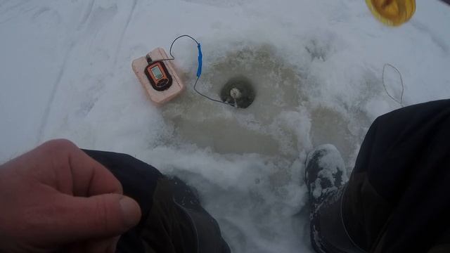 Рыбалка на судака с жерлицами  на глубине . РЫБАЛКА НА ВОЛГЕ . СУДАК на Жерлицы .