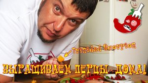 Жгучий перец дома? Часть 20. Дегустация чили: Trinidad Scorpion, Aji Melocoton и других.