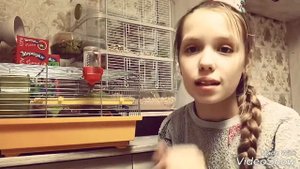 Что нужно для появления хомяка в доме.