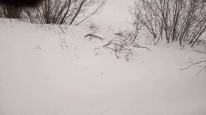 Вездеход Литл по глубокому снегу на спущенной резине.