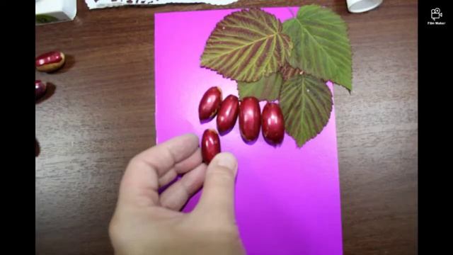 Поделка "Гроздь винограда из желудей" смотреть онлайн