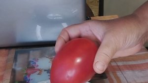 Обзор коллекционного томата Адонис из Риги