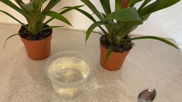 Волшебный совет! Просто супер. смотреть онлайн