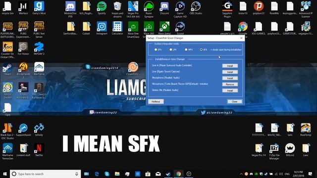 How To Fix Clown Fish Voice Changer/install