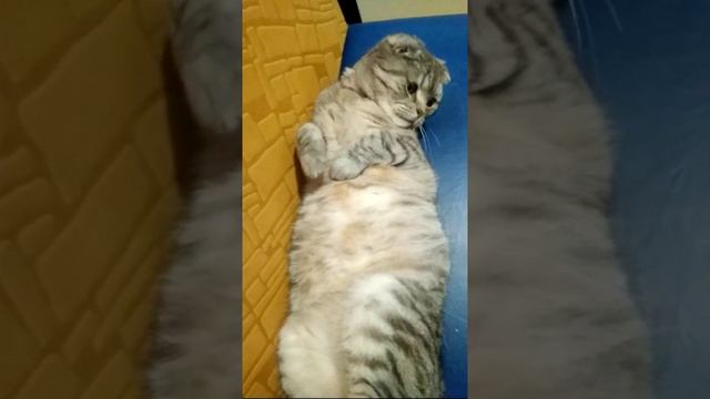 #Рыбачишь?