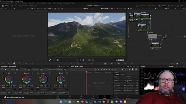 Color Grading 101: Mastering Primary Color Correction - Week 4 смотреть онлайн