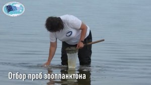 Ученые оценивают состояние запасов Черного и Азовского морей и ведут мониторинг промысла